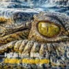 Wildlife Photography Workshop