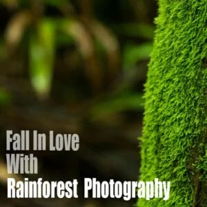 Fall In Love With Waterfall Photography